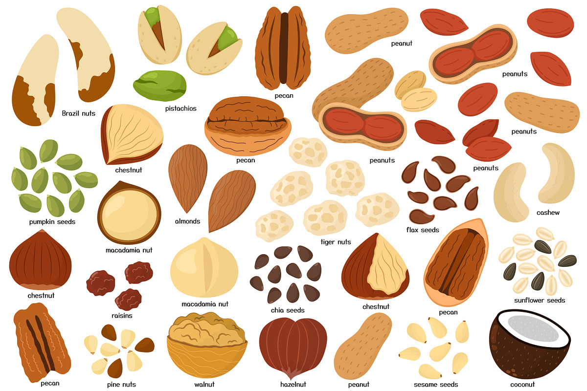 Fruits and Vegetables Clipart Bundle, an Object Graphic by Gulnara Sabirova (Photo 3 of 35)