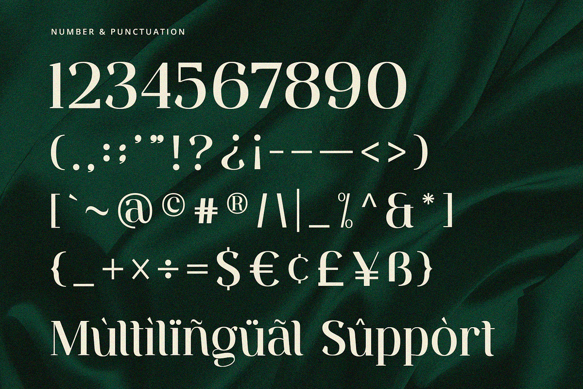 Ventura - Serif Font, a Serif Font by Alpaprana (Photo 9 of 10)