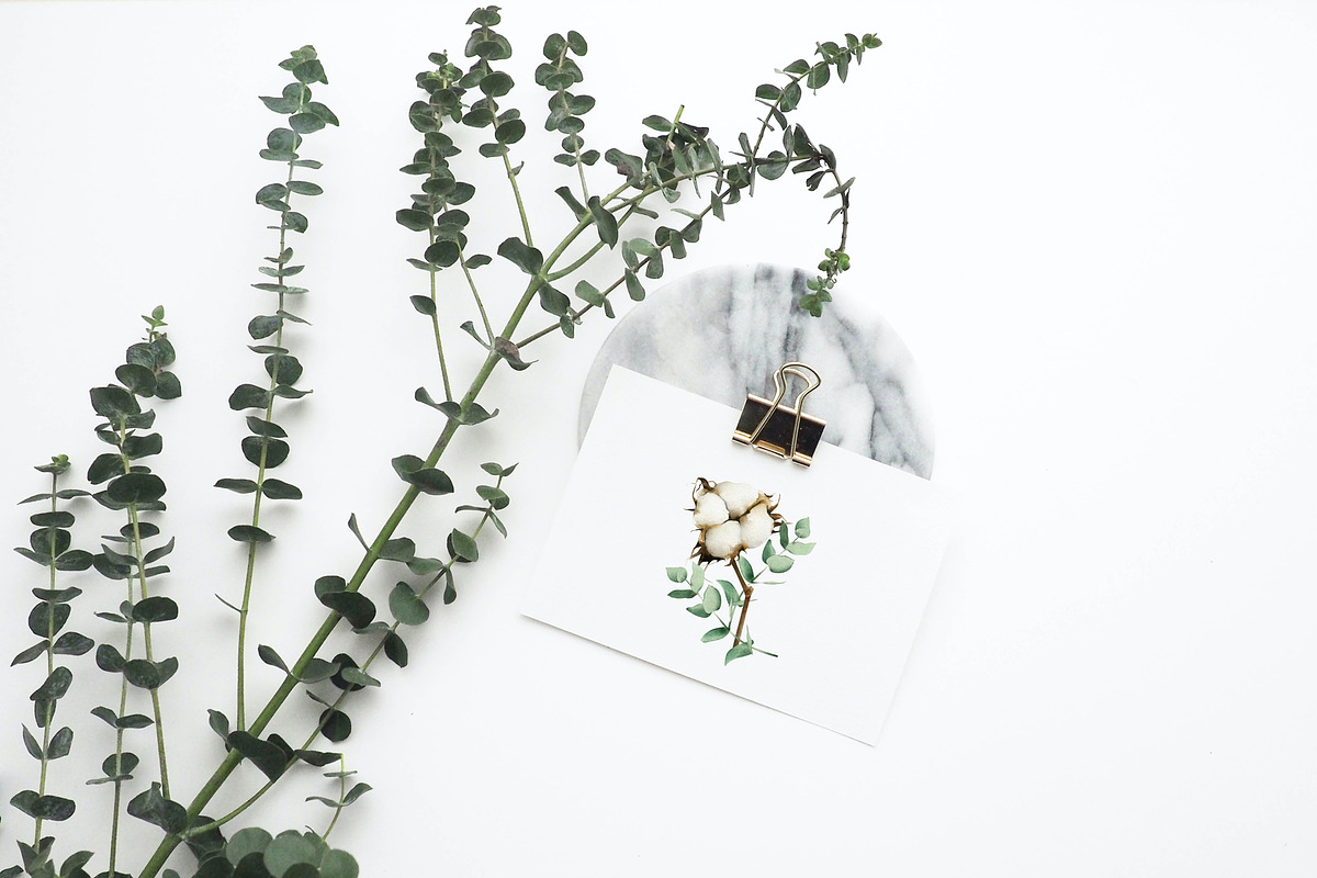 The Breath of Winter collection, an Animal Illustration by Diana Askarova Art (Photo 7 of 12)