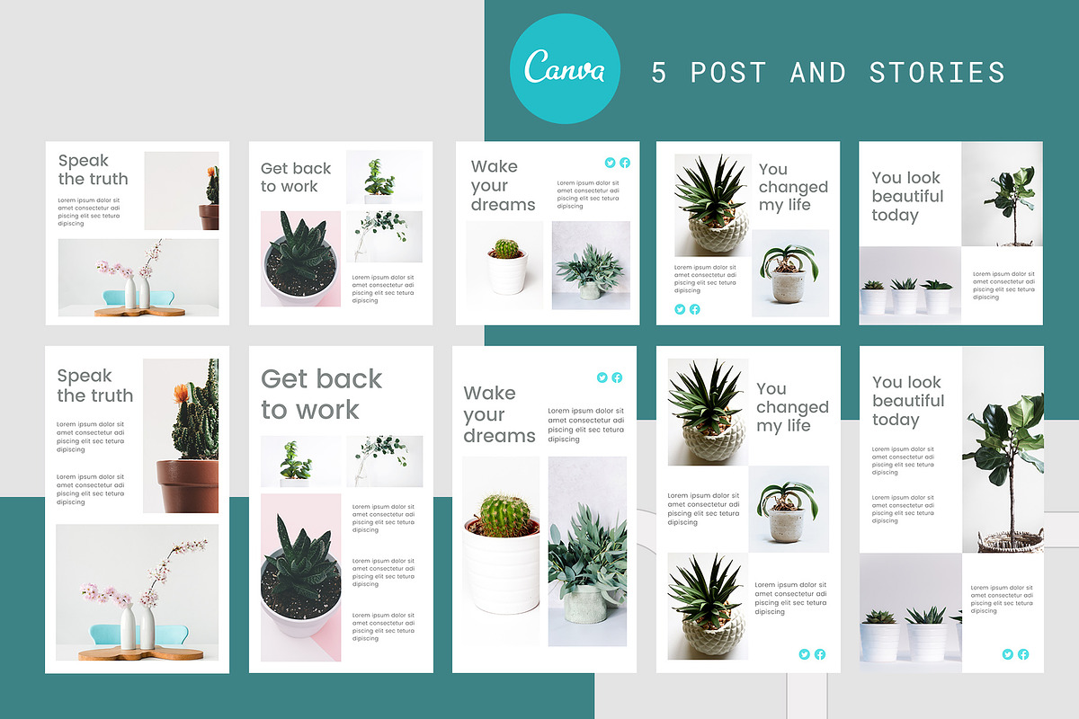 Canva Instagram Template Plant, a Social Media Template by Lythcreative (Photo 4 of 6)