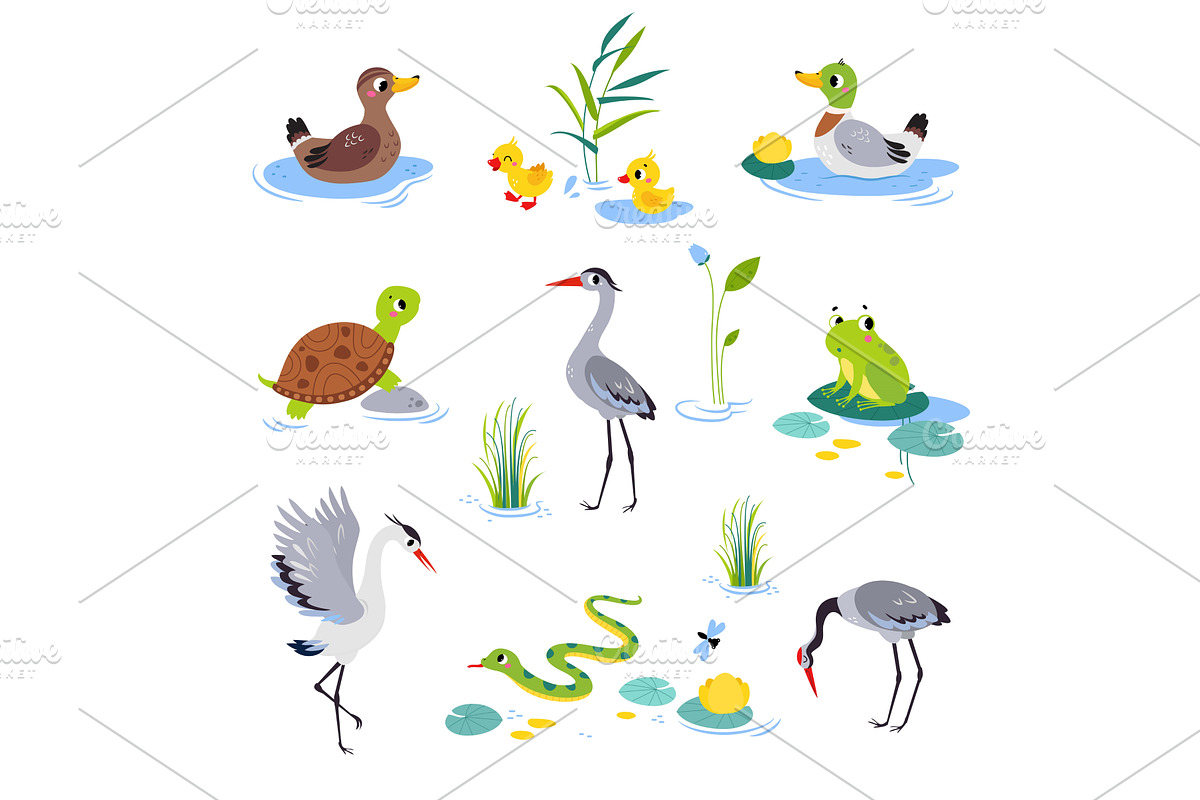 Swamp with Animals and Growing, an Animal Illustration by TopVectors