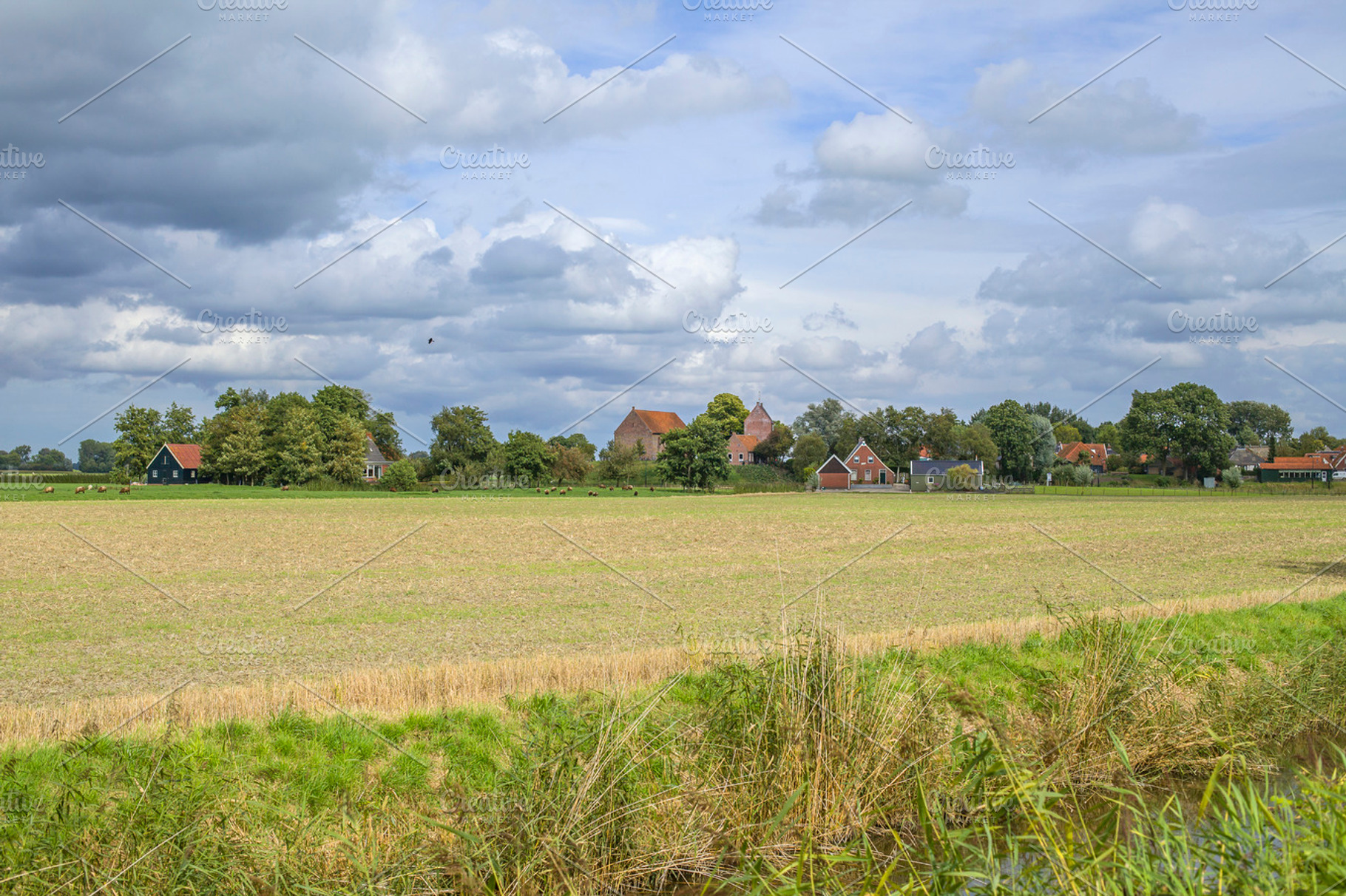 Rural Village