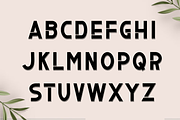 Bride Charm, a Script Font by InermediaSTUDIO (Thumbnail 6 of 8)