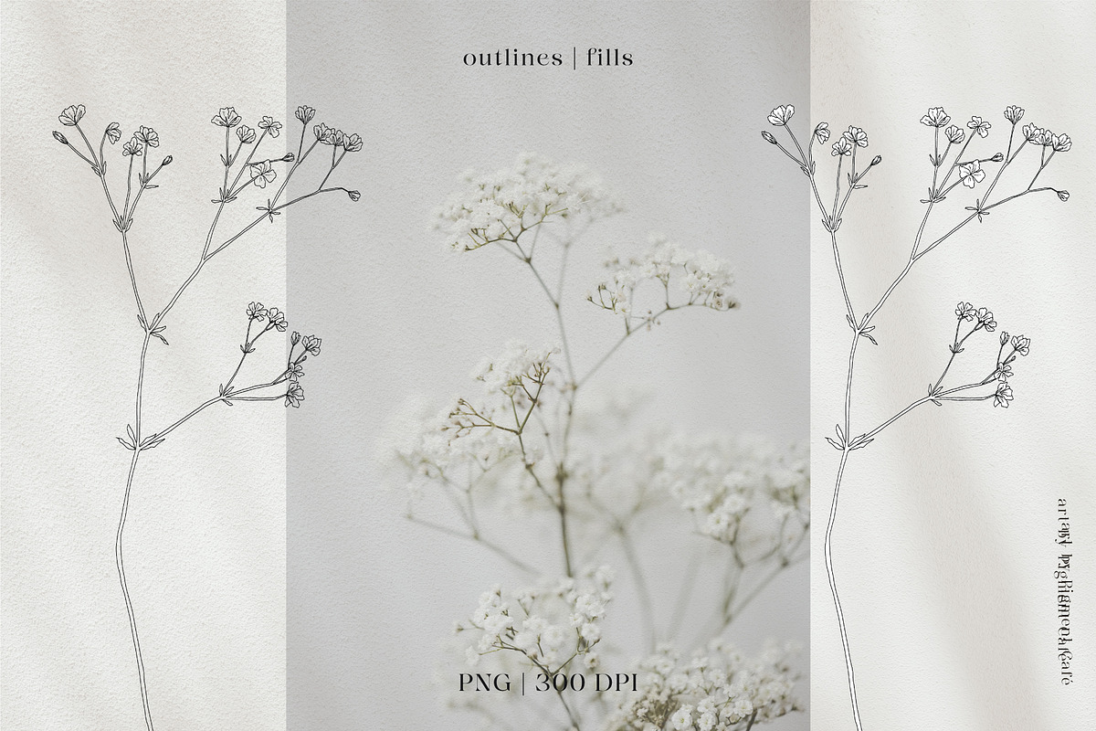 Meadow Flowers Bundle volume 2, an Illustration by Pigment Café (Photo 4 of 6)
