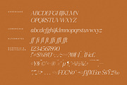 Realife Moment Modern Serif Font, a Serif Font by Letterena Studios (Thumbnail 14 of 15)