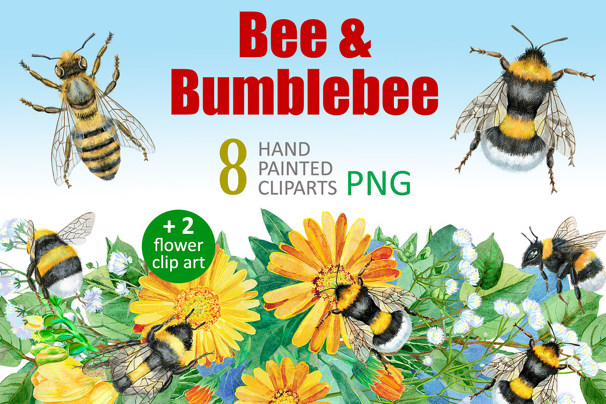 Watercolor bees and bumblebees, an Animal Illustration by Watercolor fantasy (Photo 1 of 4)