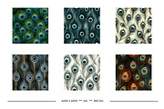 Peacock Feather Animal Print Designs, a Pattern Graphic by karenfoleyphoto (Thumbnail 6 of 11)