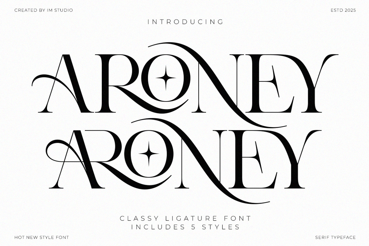 Aroney Family | 5 Style Fonts, a Serif Font by IM Studio (Photo 1 of 12)