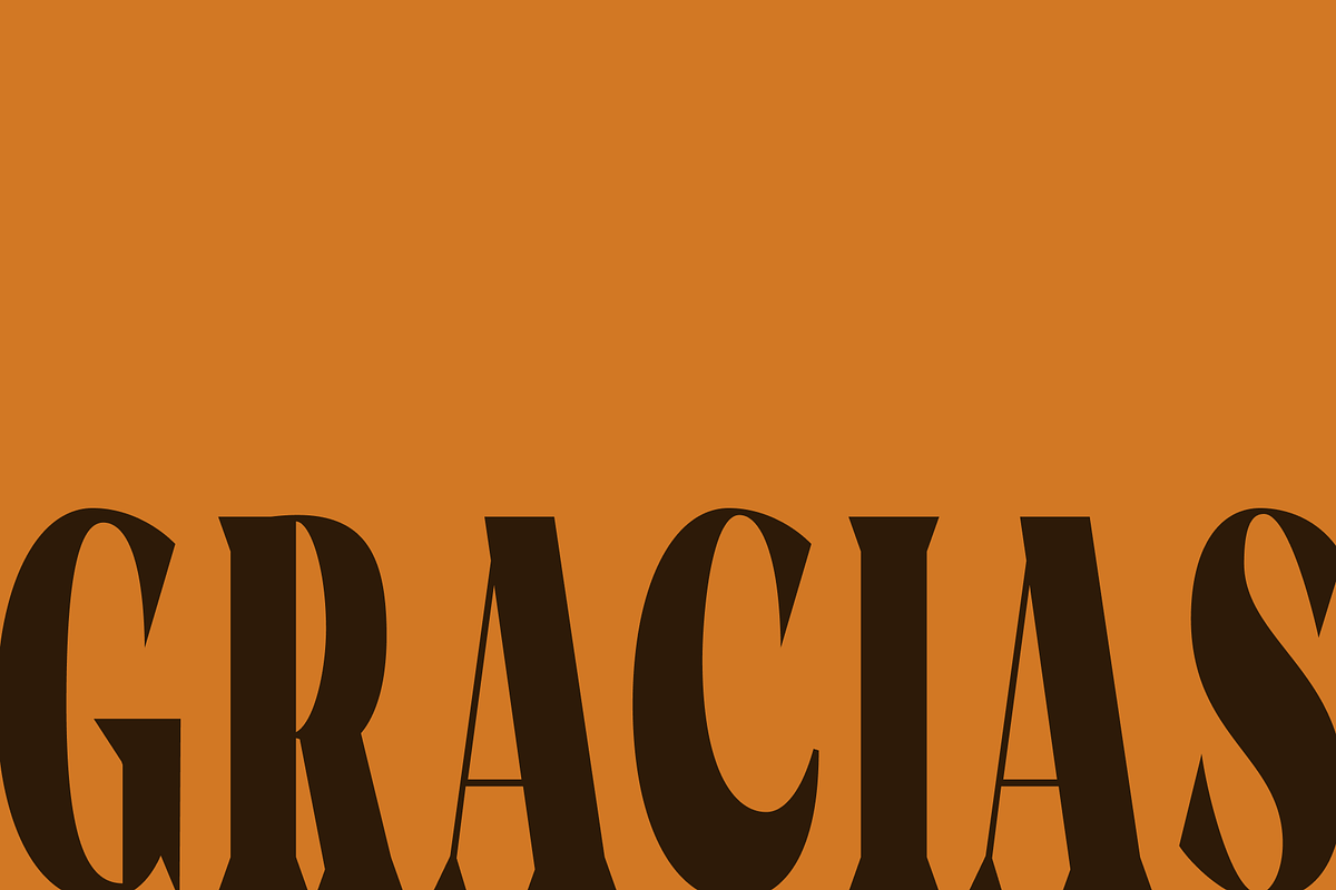Rigam Complete Family, a Serif Font by Fitrah Type (Photo 15 of 15)