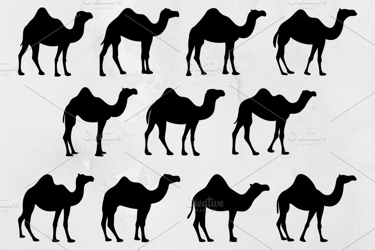 Camel Silhouette SVG, an Animal Illustration by newminddesign (Photo 1 of 3)