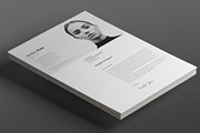 Antares Resume Template, a Resume Template by Nina Shaw (Thumbnail 5 of 9)