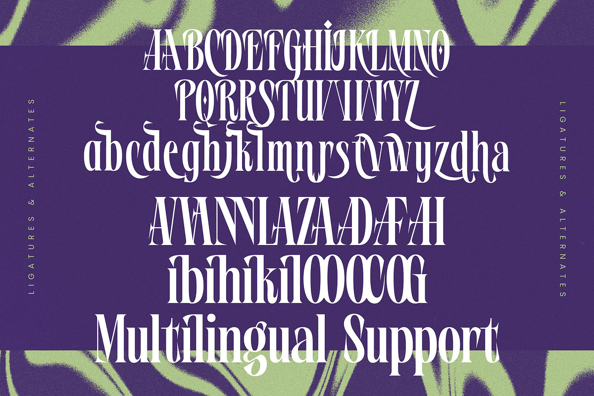 Wafterlic Modern Display Serif, a Serif Font by timelesstype.co (Photo 19 of 20)