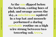 CS Agnes – Serif Font, a Serif Font by Craft Supply Co. (Thumbnail 4 of 8)