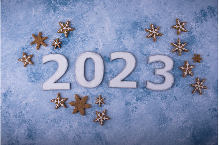 2023 New Year and Christmas, a Holiday Photo by Yulia Furman