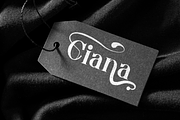 Atien, a Serif Font by Auliacreative (Thumbnail 6 of 9)