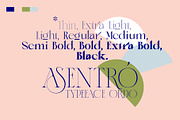 ASENTRO, a Serif Font by Alcode (Thumbnail 11 of 15)