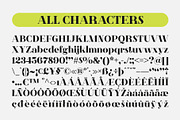 CS Agnes – Serif Font, a Serif Font by Craft Supply Co. (Thumbnail 8 of 8)