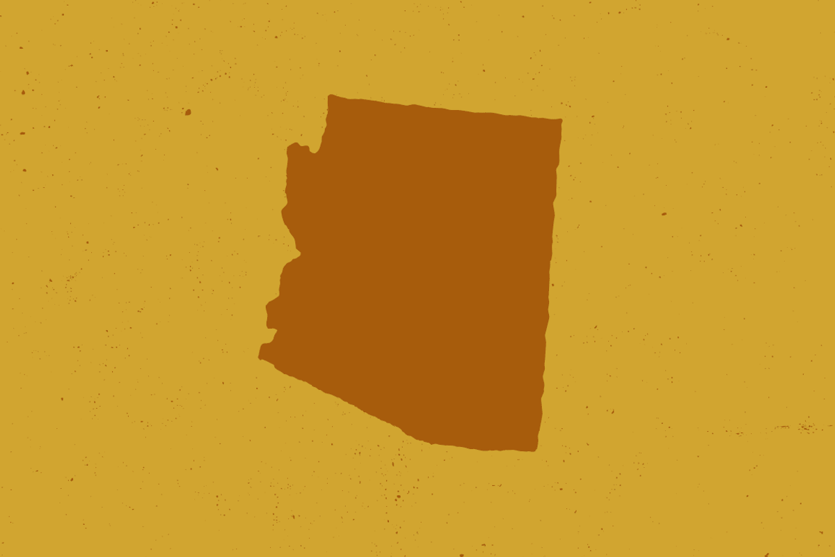 50 States - Hand Illustrated preview 6