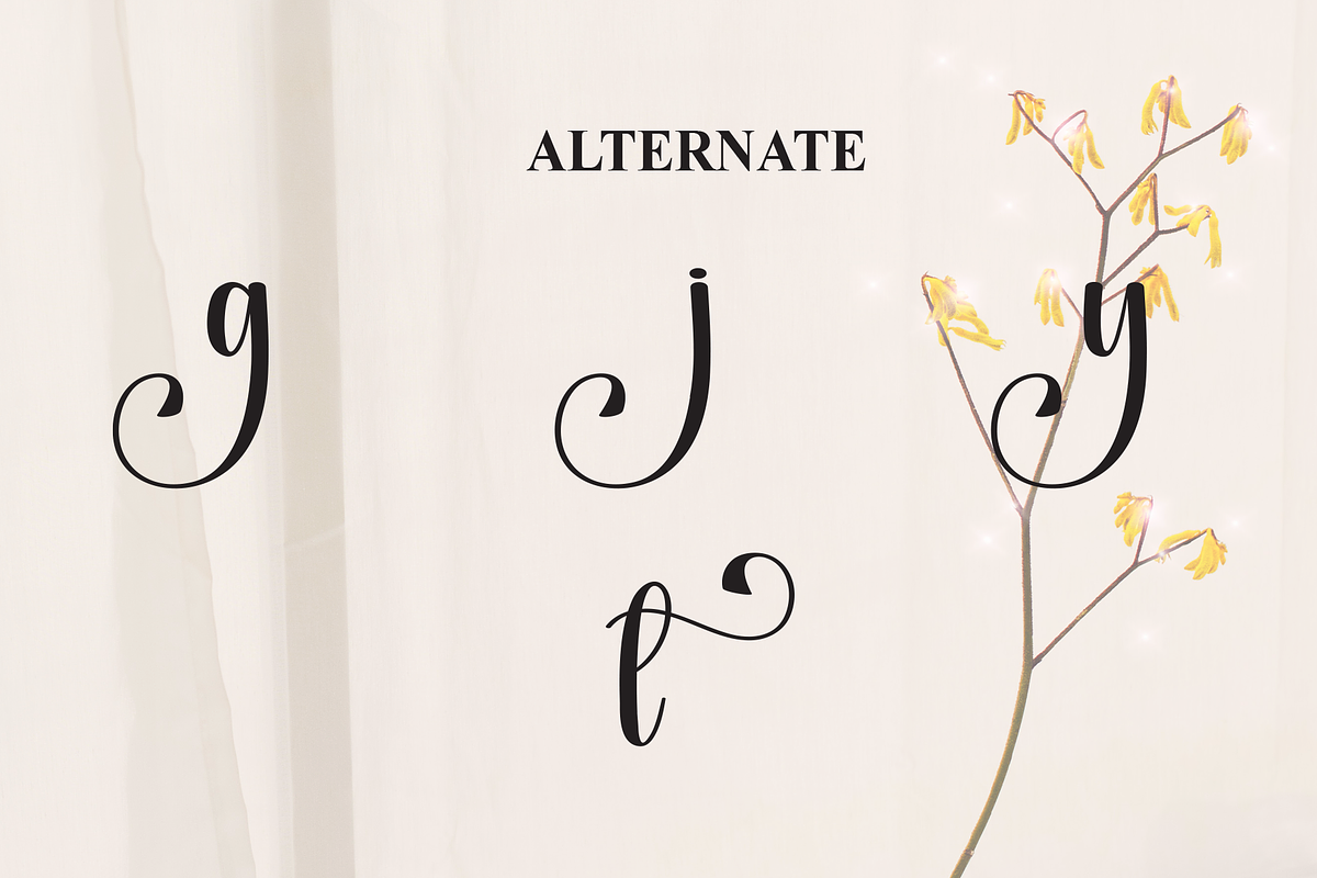 Starkey | Script Font, a Handwritten Font by Scratchones (Photo 8 of 9)