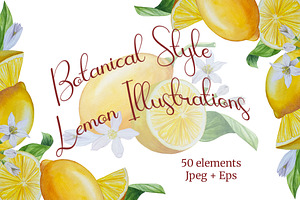 Botanical Style Lemon Illustrations