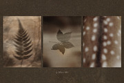 Earthy Mystical Texture Backgrounds, a Texture Graphic by Allure Art (Thumbnail 21 of 28)