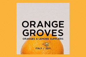 CITRUS GARDEN - Vintage Sans Serif