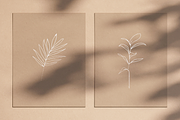 Botanical Line Drawings, a Decorative Illustration by Delightful Design (Thumbnail 5 of 7)