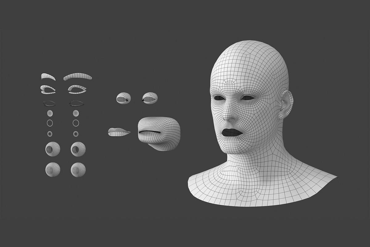 Natural Male Head 01 Generic Mesh, a Characters & Person 3D Model by VK Studio (Photo 14 of 29)