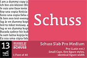 SchussSlabProMedium No.13 (1 Font), a Slab Serif Font by typic schuss (Thumbnail 1 of 6)
