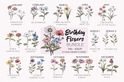 Birth Month Flowers Clipart Bundle, an Object Graphic by Mastilo Designs (Thumbnail 1 of 6)