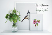 Hellebore Floral Seamless Pattern, a Decorative Illustration by AnitaPol (Thumbnail 11 of 12)