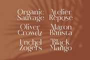 Rosse Merona Modern Serif Font, a Serif Font by timelesstype.co (Thumbnail 3 of 20)