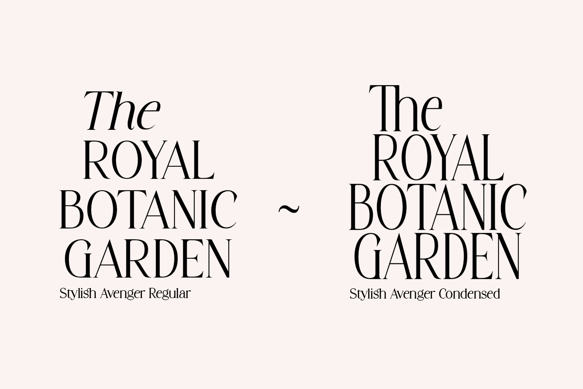 Stylish Avengers Serif Family, a Serif Font by moriztype (Photo 5 of 13)