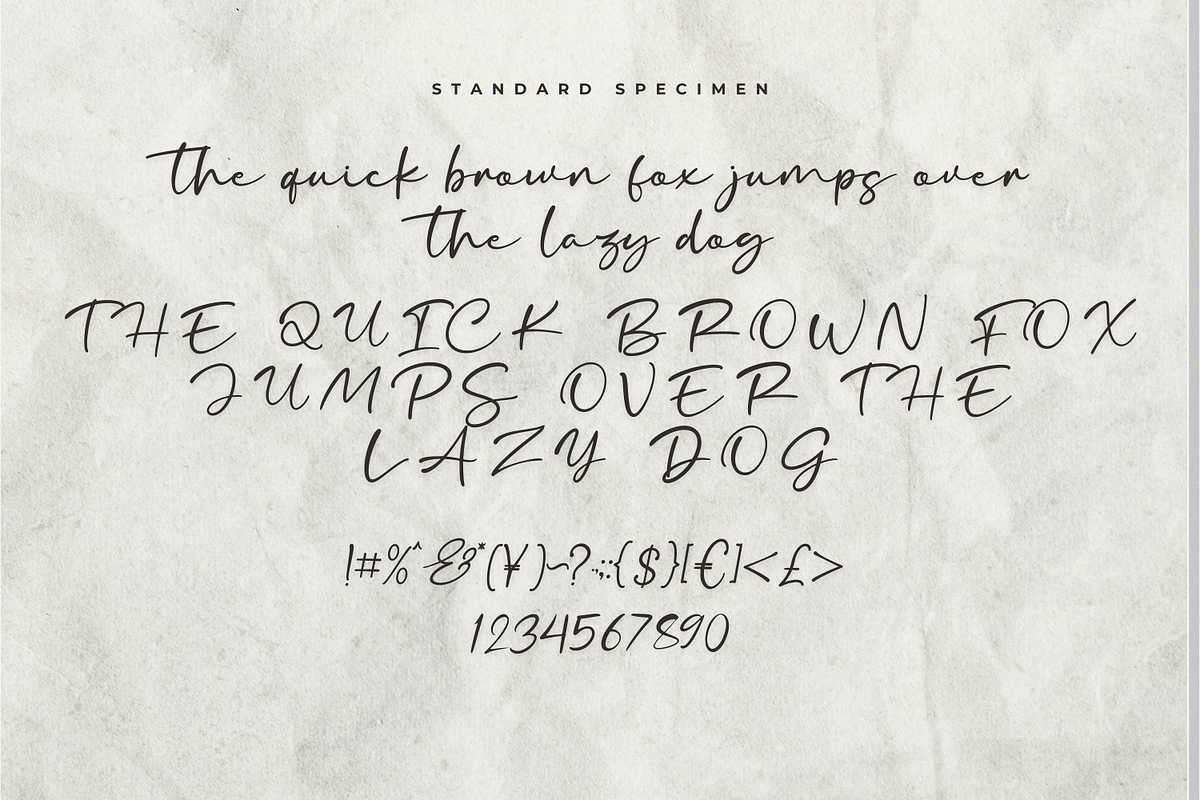 Amorgetwin Handwritten Font, a Handwritten Font by Basnistudio (Photo 8 of 10)