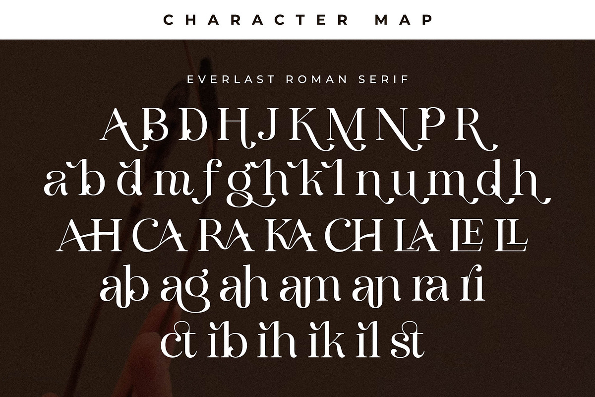 Everlast Roman Font Duo, a Serif Font by Storytype Studio (Photo 14 of 15)