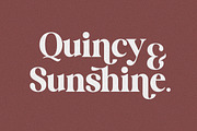 SWEET VUSSTAIN, a Serif Font by Gatype (Thumbnail 3 of 9)