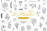 50+ Florals, a Decorative Illustration by Redchocolate (Thumbnail 1 of 6)