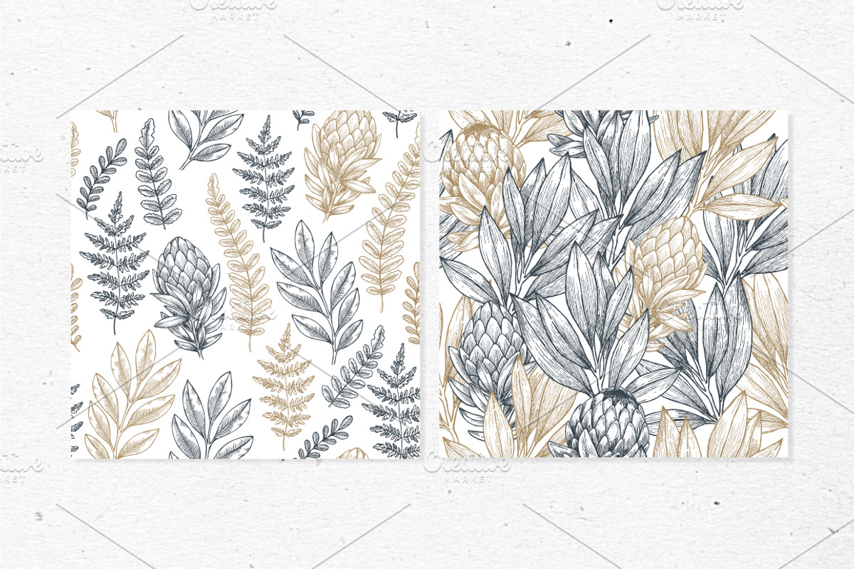 Rare plant collection, a Decorative Illustration by adehoidar (Photo 6 of 7)