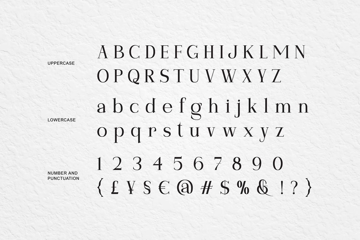 Montega Elegant Serif Typeface Font, a Serif Font by Vadovastd (Photo 2 of 8)