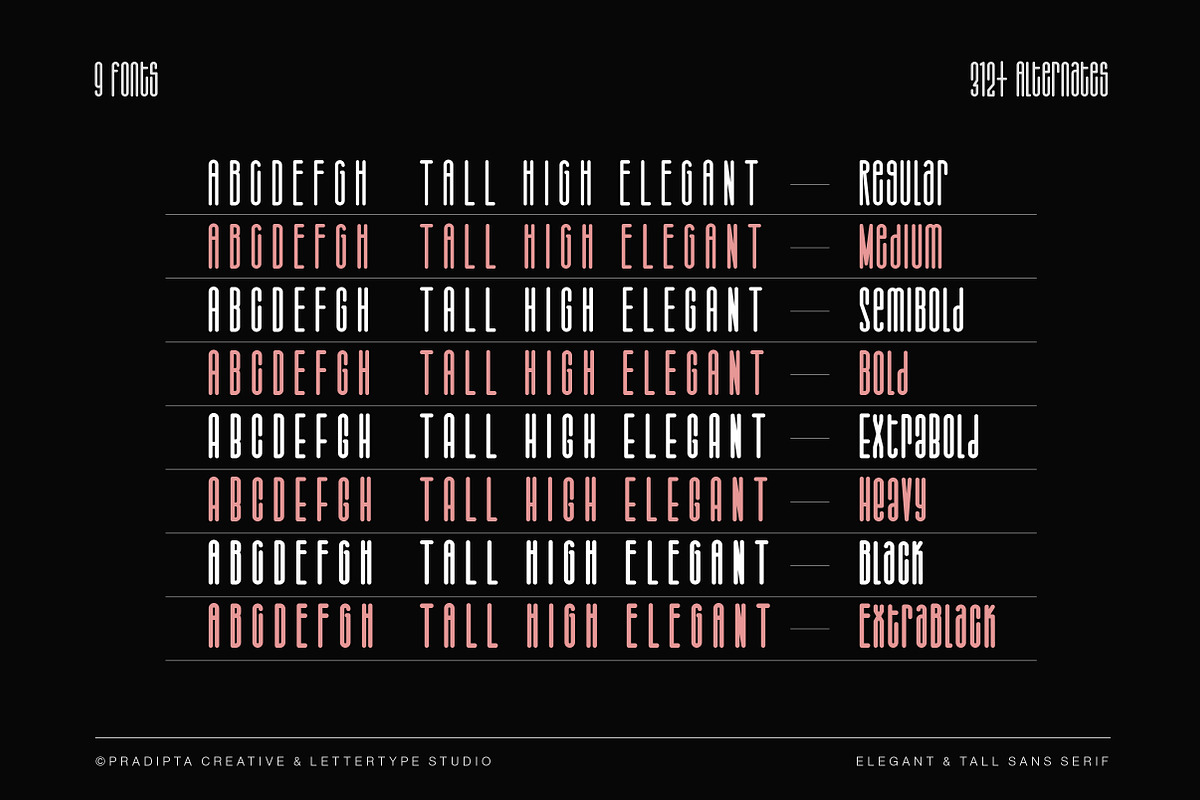 Salvegy Elegant & Tall Sans Serif, a Sans Serif Font by Lettertype Studio (Photo 2 of 15)