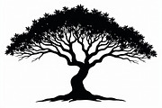 20 Black Tree Silhouettes Bundle, an Illustration by Gaye Art (Thumbnail 17 of 21)