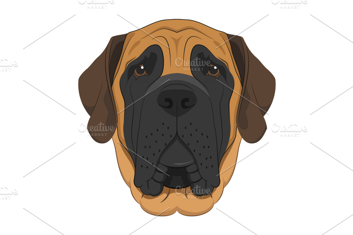 30x Dog breeds Set 2, an Animal Illustration by asantosg (Photo 2 of 7)