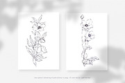 Hellebore. Pencil and watercolor, an Illustration by Tilling (Thumbnail 5 of 6)