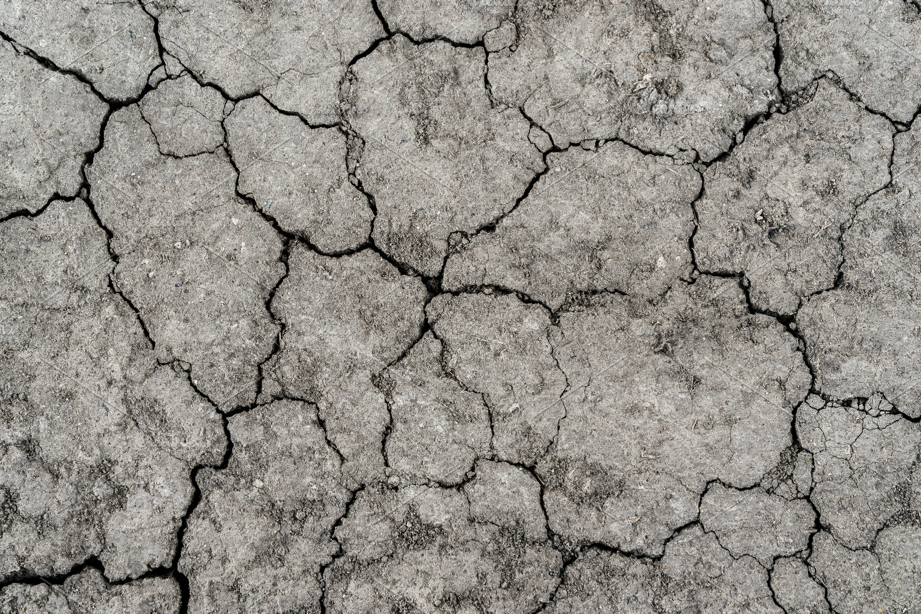 Texture of dry cracked earth., an Abstract Photo by Eugene_Photo