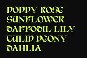 ED Brigid Typeface, a Serif Font by Emyself Design (Thumbnail 2 of 12)