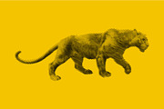 Line Art Tiger Panther Logo, a Branding & Logo Template by Designs Basket (Thumbnail 2 of 4)