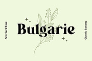 Wainscoted Modern Serif Font, a Serif Font by UICreative (Thumbnail 3 of 12)