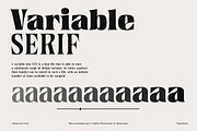 Venturico - Variable Font, a Serif Font by Typeskets (Thumbnail 3 of 11)