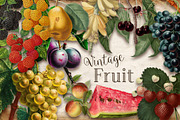 Vintage Fruit, an Illustration by Digital Vintage (Thumbnail 1 of 2)