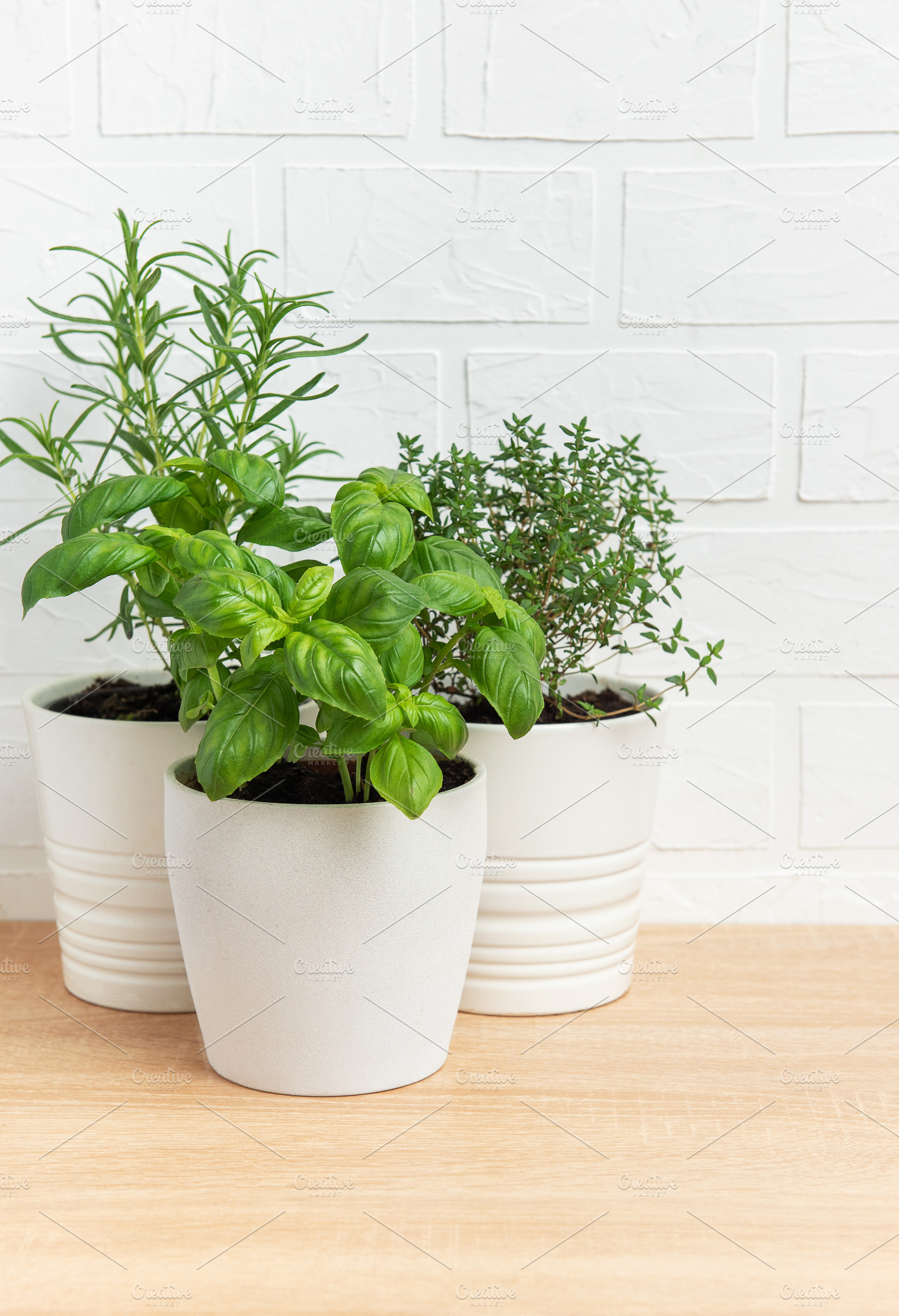 Fresh herbs growing in white pots on wooden table, a Food & Drink Photo by Olena Rudo
